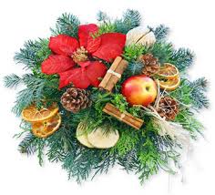 hoa giang sinh dep nhat